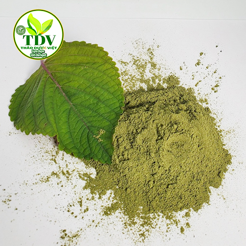 Bột lá tía tô nguyên chất trj gout - Hàng công ty Thảo Dược Việt
