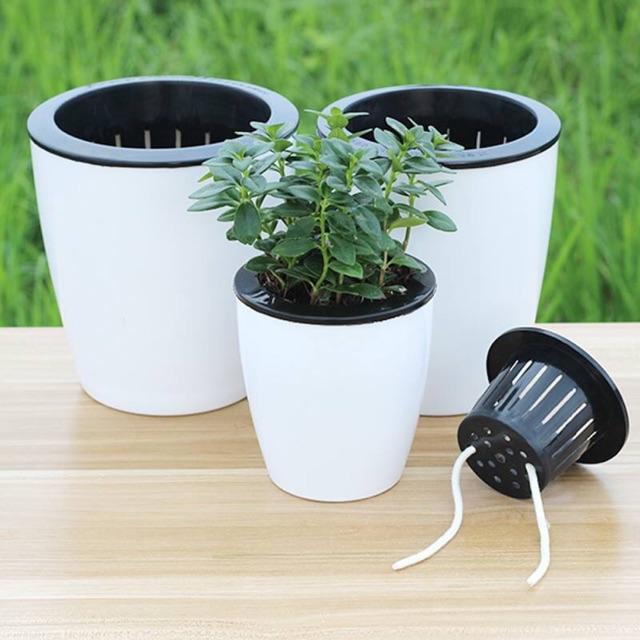 Chậu trồng cây thông minh tự tưới nước - đường kính chậu 18cm