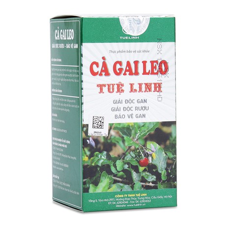 Cà gai leo Tuệ Linh - Giúp gan khỏe mạnh mỗi ngày