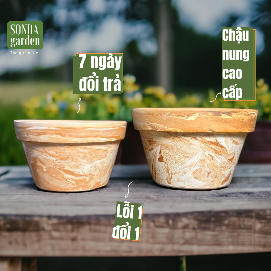 Chậu đất nung lùn trắng vân nâu Sonda garden, lỗi 1 đổi 1, chậu sen đá đẹp.