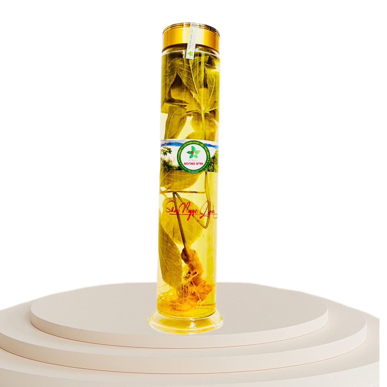 Vương sâm tửu_Cây sâm ngọc linh tươi , rượu 01 bình 1.000ml