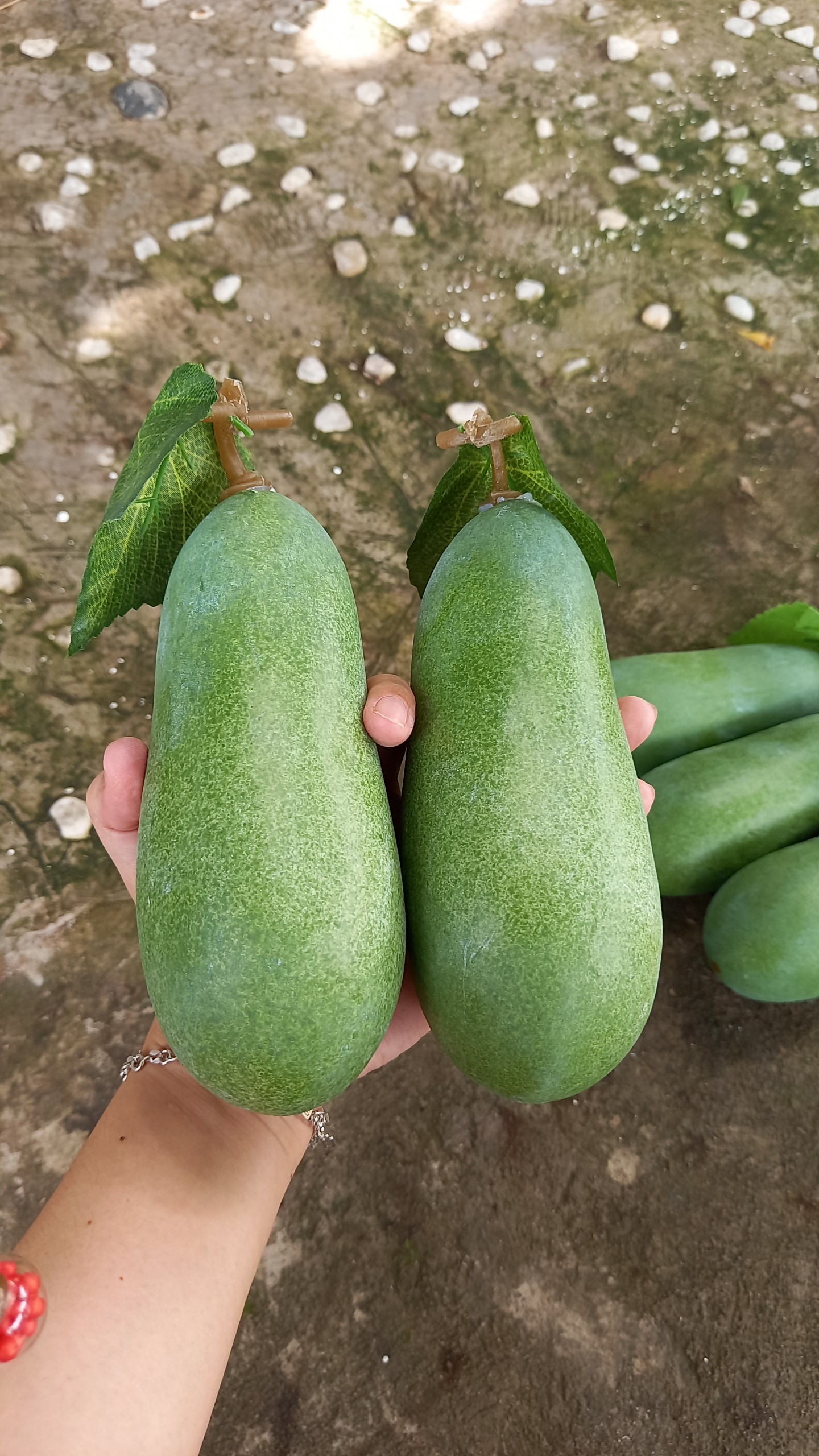 1 Trái bí đao giả - trái cây giả - Hương Flower