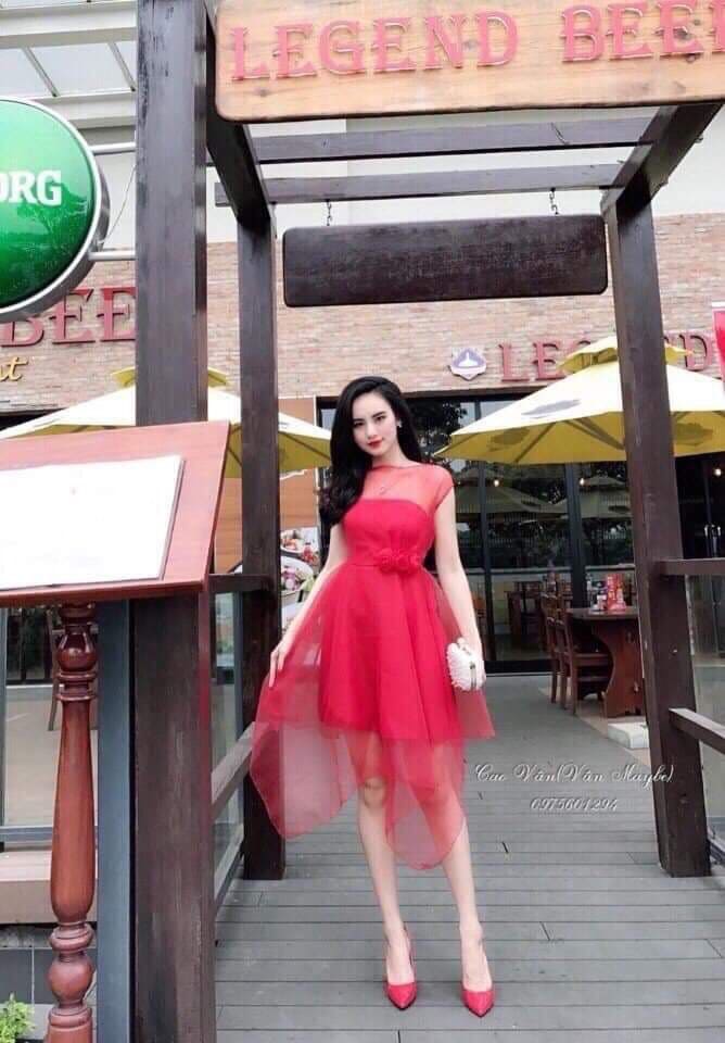 Đầm lưới kết bông xinh xinh
