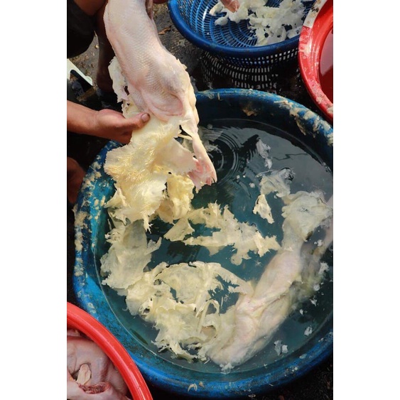 Sáp vặt lông vịt ,Sáp Vặt Lông Gia Cầm miếng 10Kg+1kg Bột lọc lông