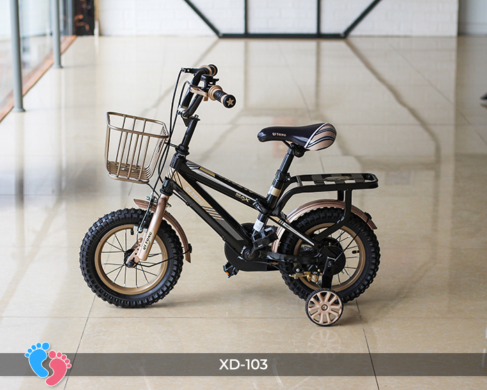 Xe đạp cao cấp cho bé baby plaza xd-103