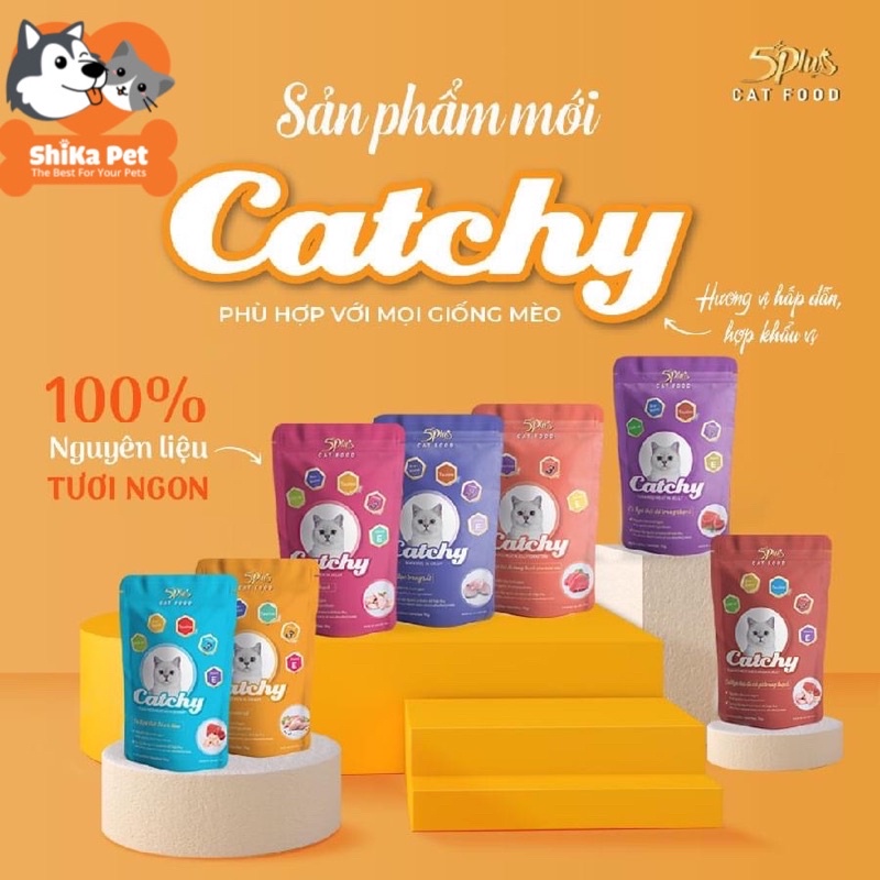 Pate mèo 5plus catchy gói 70g
