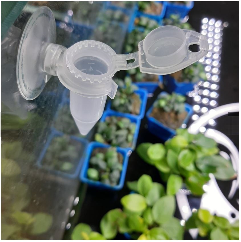 Ống nhỏ giọt Artemia nhỏ giọt cho cá ăn tiện lợi