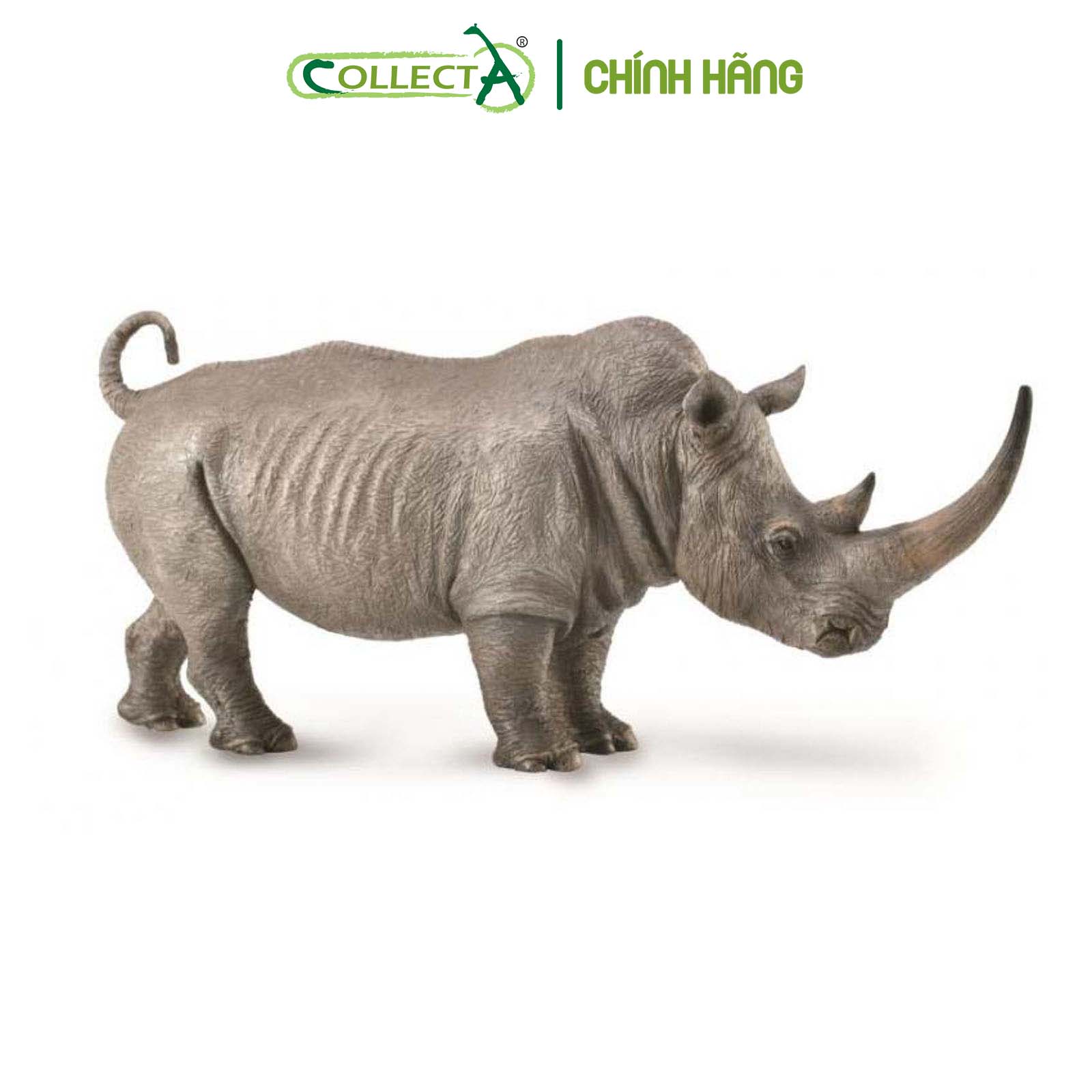 Đồ chơi mô hình động vật CollectA Tê Giác Trắng - White Rhinoceros