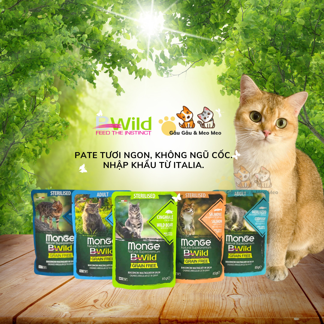 Pate monge thức ăn cao cấp mèo gói 85g