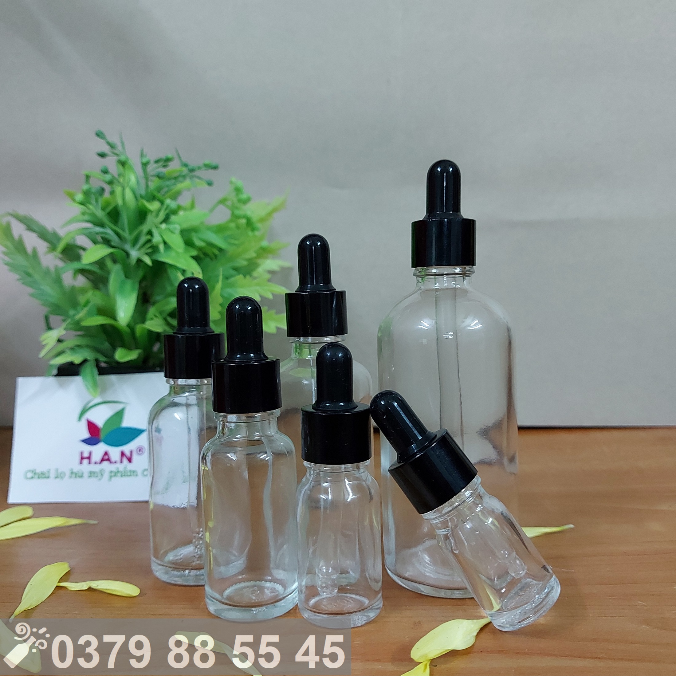 10 chai thủy tinh trong nắp bóp đen 5ml 10ml 20ml 30ml 50ml 100ml- lọ đựng serum, tinh dầu, mỹ phẩm