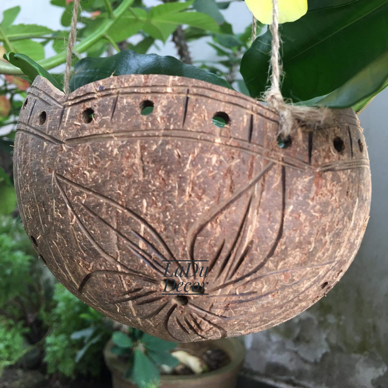 [Tặng kèm dây treo, có video] Chậu gáo dừa tự nhiên có khắc hoa văn tinh tế -NANUDECOR
