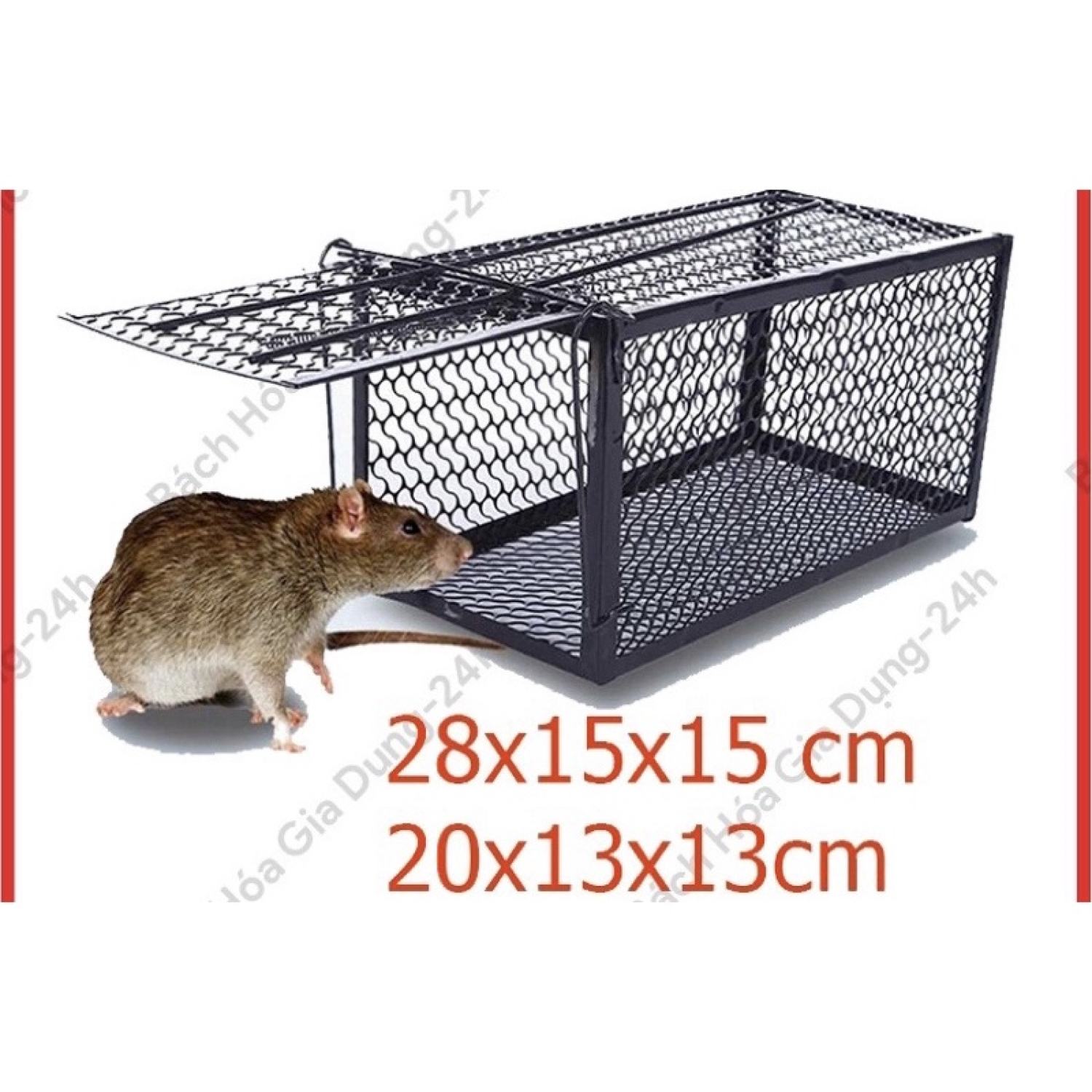 Bẫy chuột thông minh lồng sắt đủ kích cỡ hàng có sẵn giao ngay