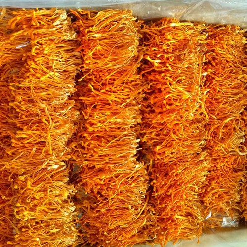 Đông Trùng Hạ Thảo Khô (100G), nấm đông trùng, thơm nức mũi, bổ dưỡng hàng việt nam chấ lượng cao