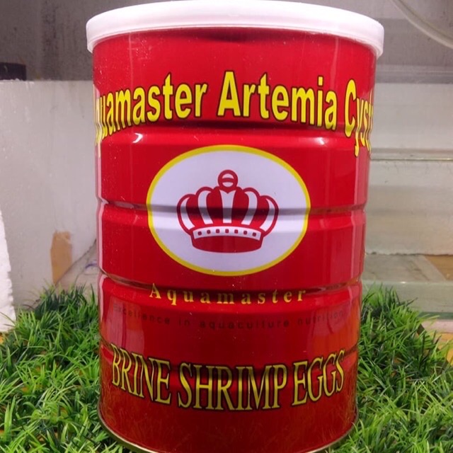 Trứng artemia ấp nở lon đỏ - tỉ lệ nở 70-80% sau 48h