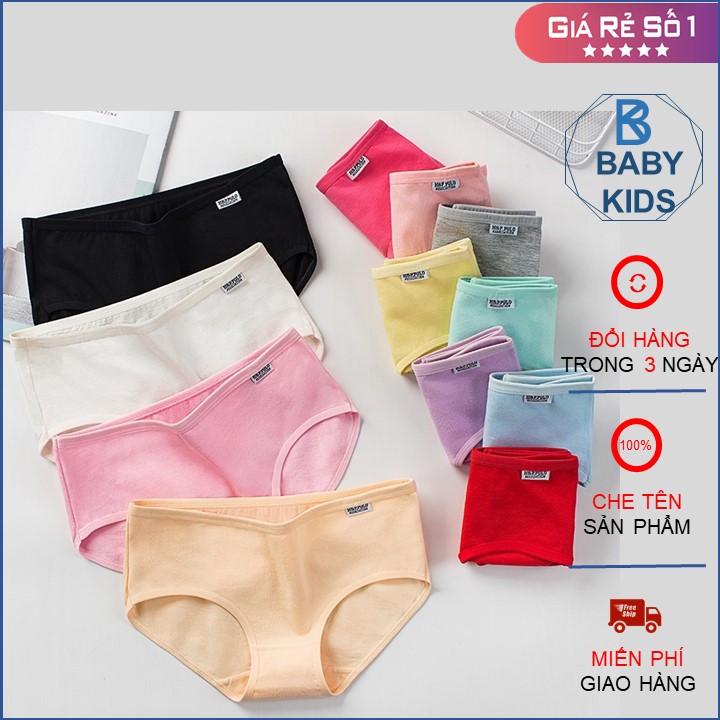 Combo 6 quần lót nữ cotton