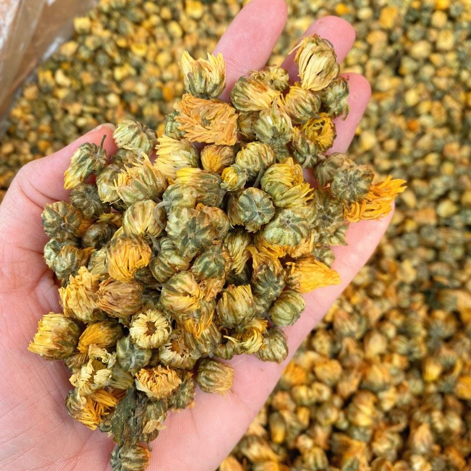 FREESHIP 1Kg Hoa Cúc Nụ Kim Cương Sấy Lạnh Hàng Loại 1 Vàng Xanh Đẹp, Trà Hoa Cúc Sấy Khô Thanh Nhiệt, Ngủ Ngon