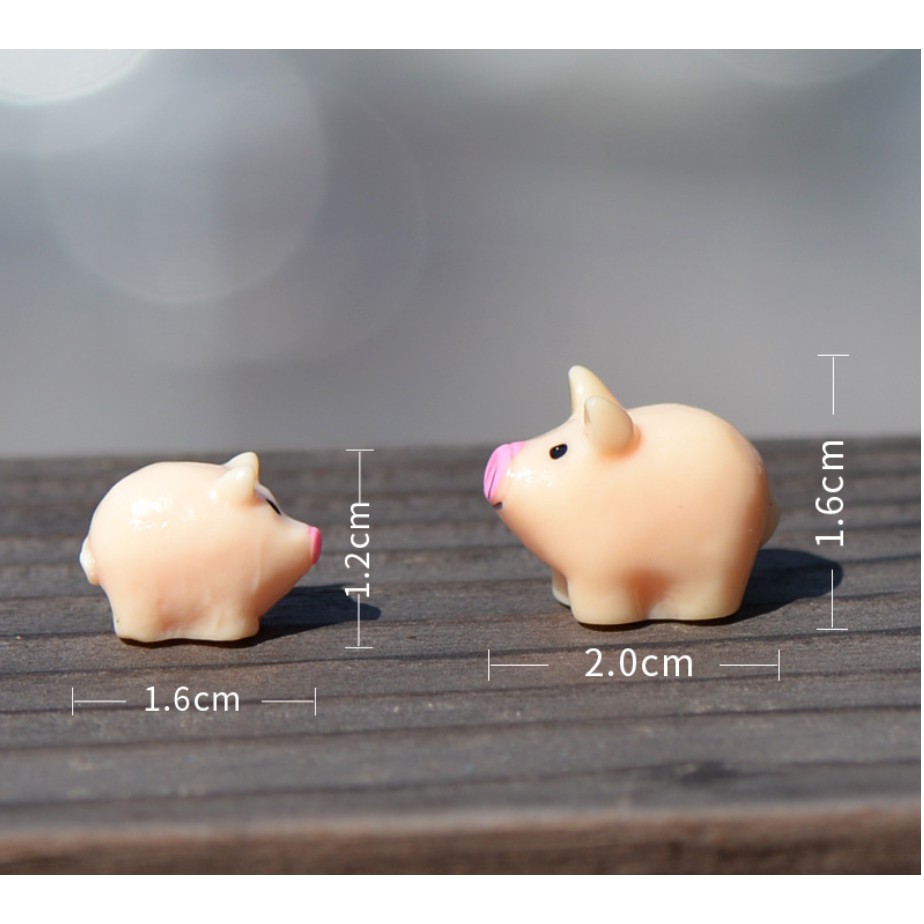 Combo 3 Qùa tặng Phụ kiện trang trí tiểu cảnh, phụ kiện terrarium, phụ kiện trang trí chậu cây sân vườn