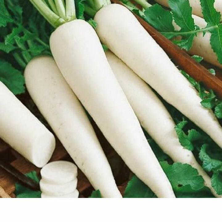 Hạt giống củ cải Hà Nội cao sản muối dưa (củ cải dài lá ngắn) gói 20gr xuất xứ Việt Nam