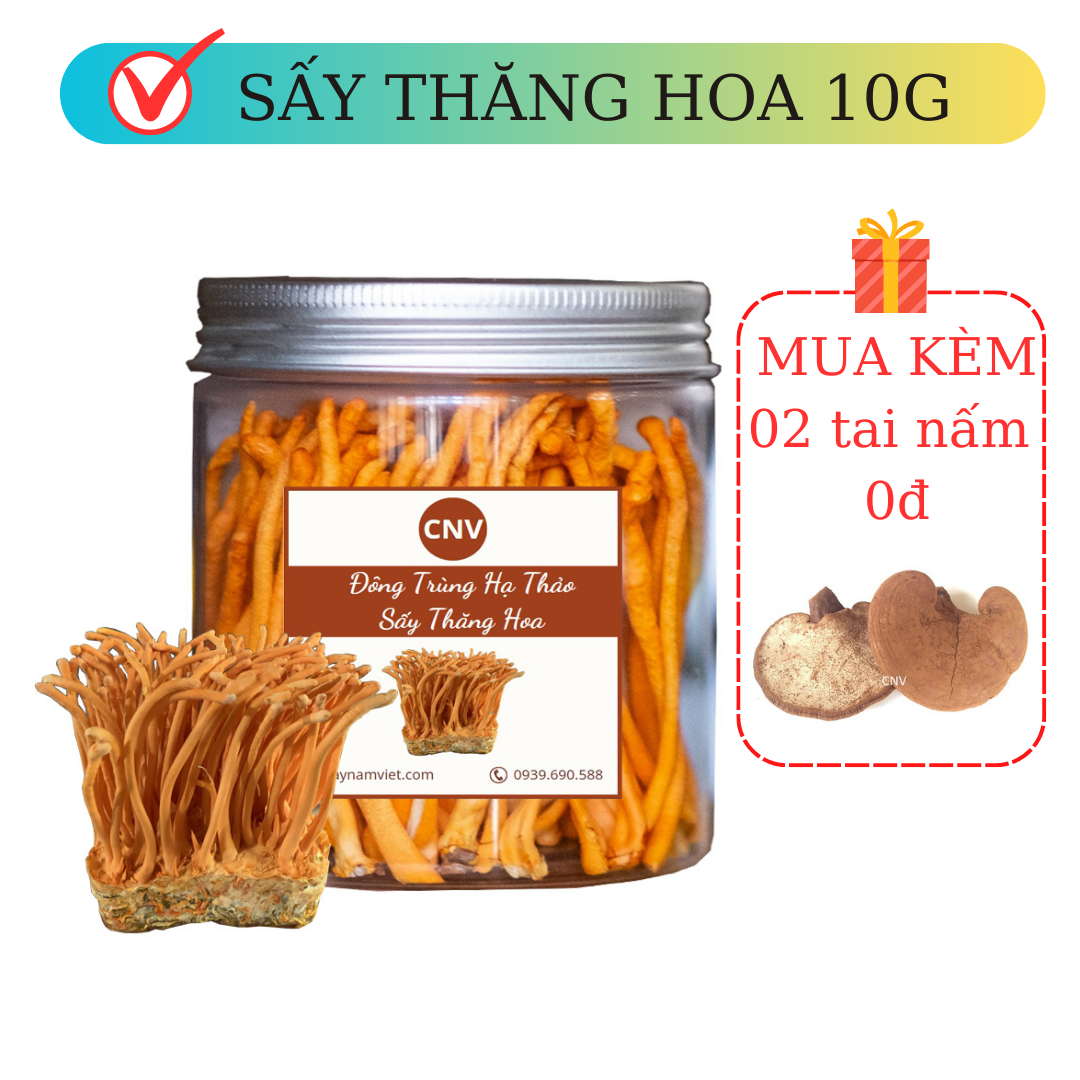 Đông trùng hạ thảo khô sấy thăng hoa 10g nguyên cọng 99% - Cây Nấm Việt