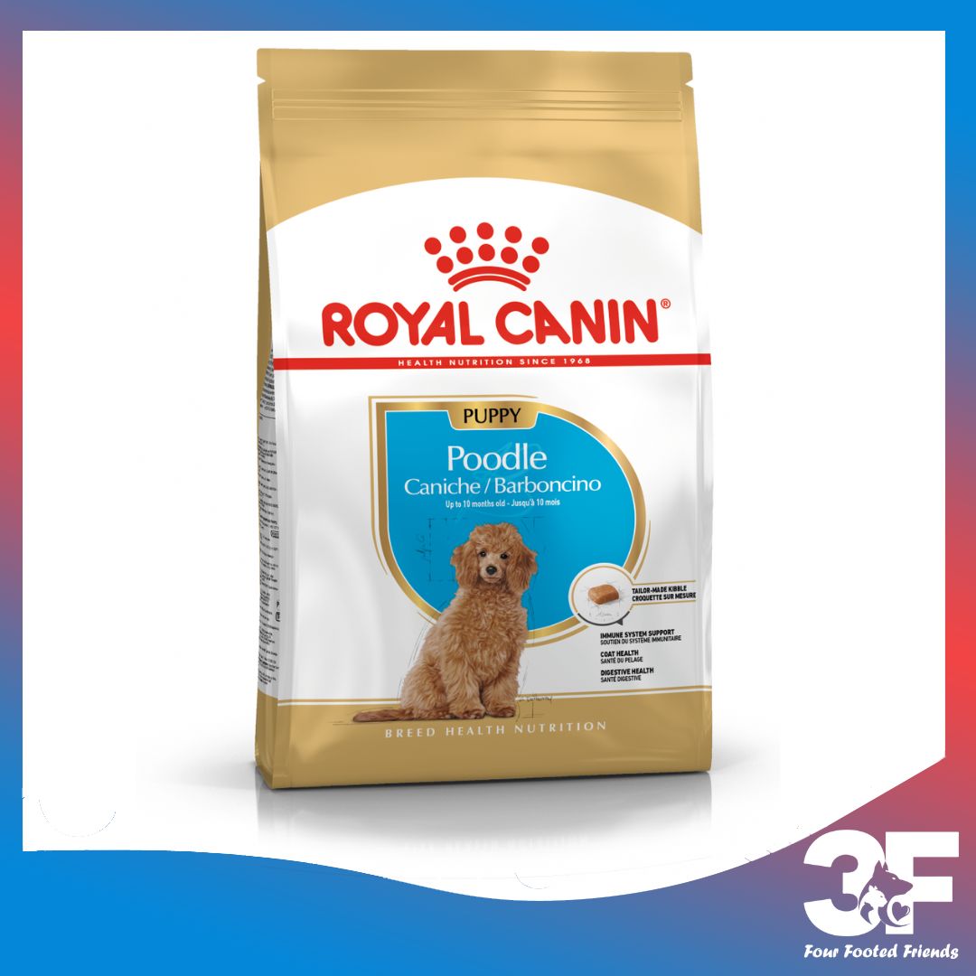 Thức ăn cho chó royal canin poodle puppy - chó con