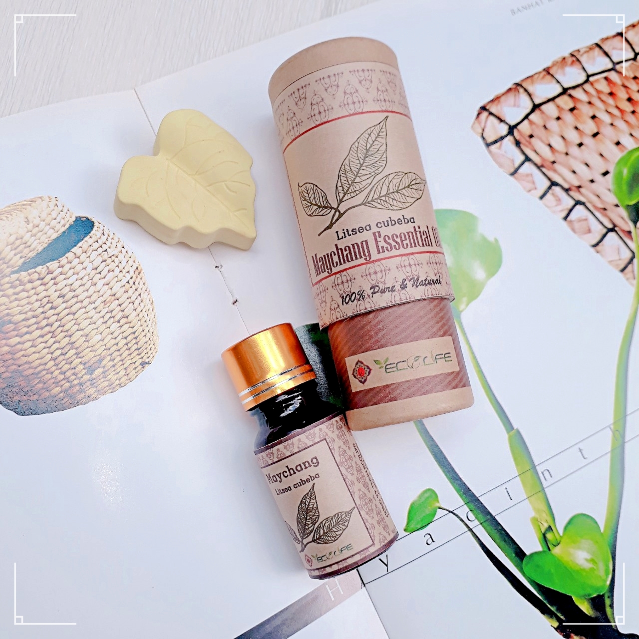 Tinh dầu xông nhà , thanh lọc không khí màng tang Ecolife - Maychang