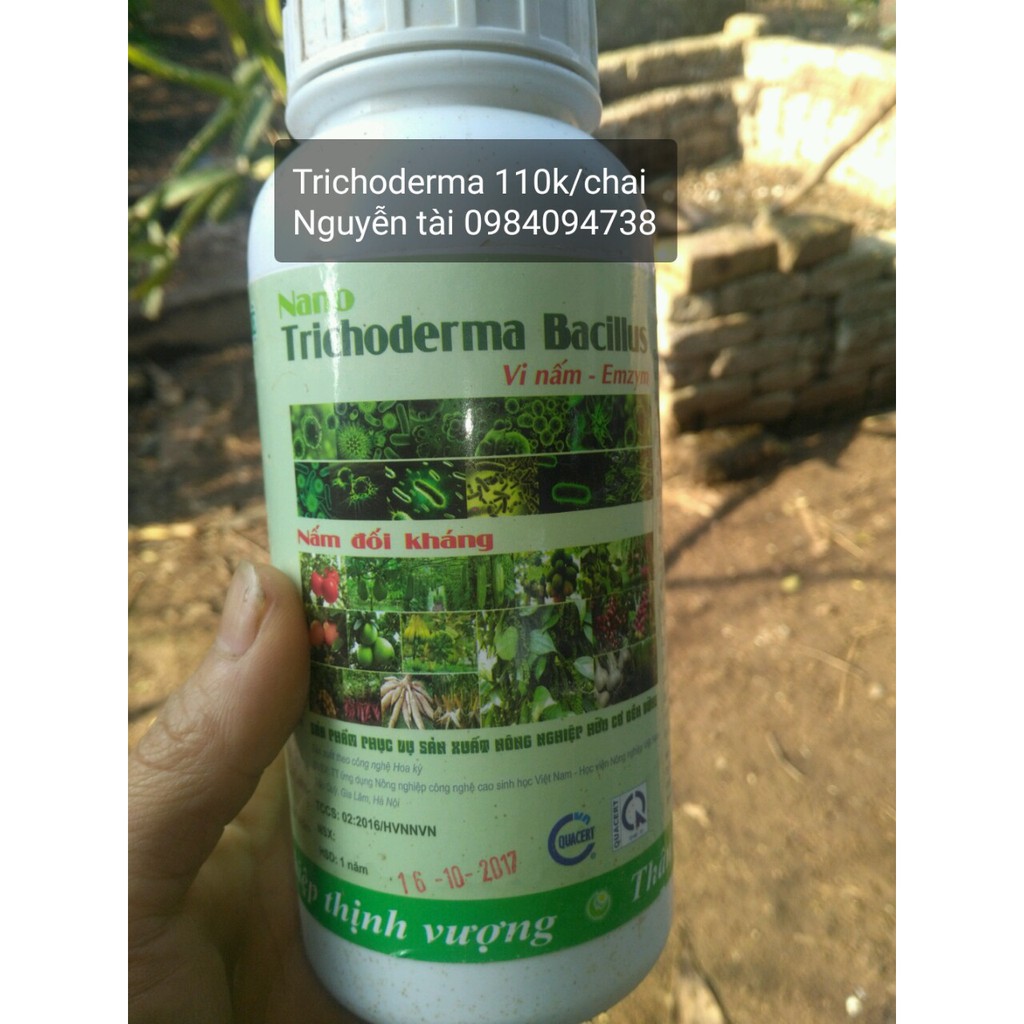 Nấm đối kháng Trichoderma Bacillus chai 500ml hàng đẹp, phân phối chuyên nghiệp.