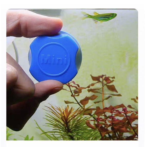 Cọ bể nam châm mini vệ sinh thành hồ cá cảnh thủy sinh tiện lợi
