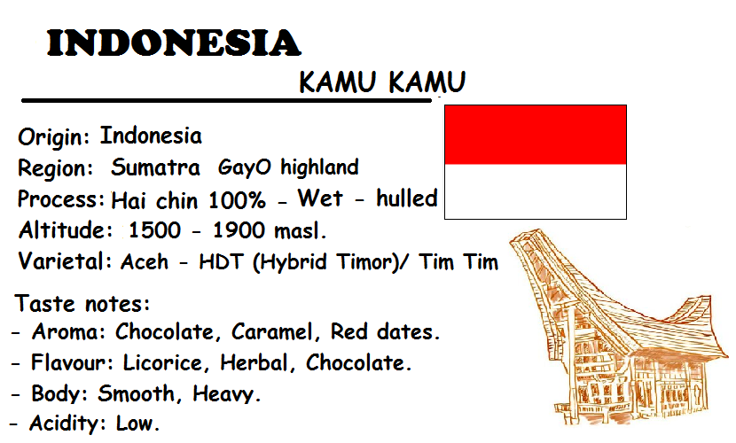 Special coffee - hạt - 2 túi 250 gram cà phê arabica indonesia - kamu kamu - sumatra - gayo highland.