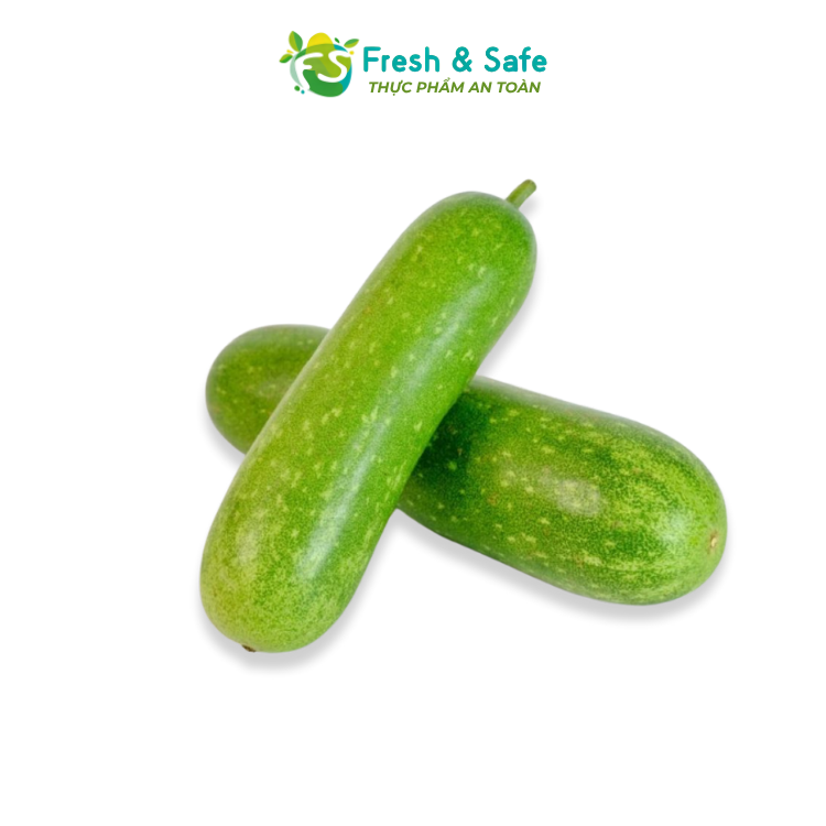 [HOẢ TỐC HCM] Bí Đao/ Bí xanh