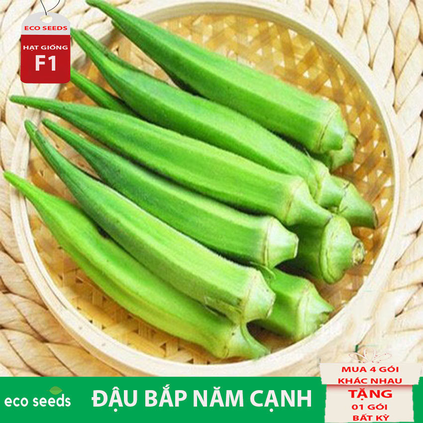 HẠT GIỐNG ĐẬU BẮP NĂM CẠNH Q02 Eco seeds KLT20g