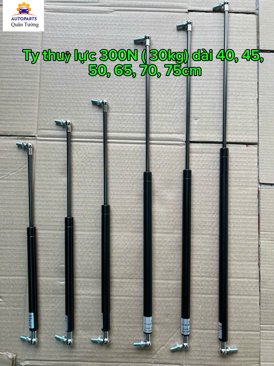 Ty thủy lực 300N (30kg) dùng cho cốp xe con, cửa quầy bán hàng, bửng xe tải nhẹ.