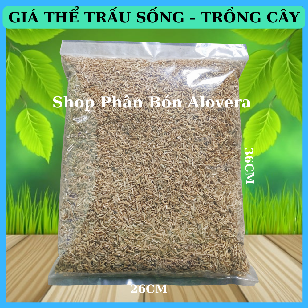 Vỏ trấu - vỏ lúa trồng cây