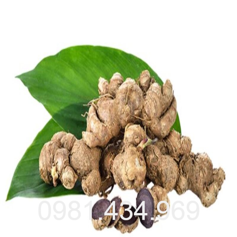 Gừng đen tươi 01kg sạch