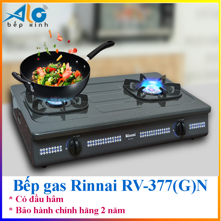 Rinnai Rv-377(g)n giá rẻ Tháng 8,2024|BigGo Việt Nam