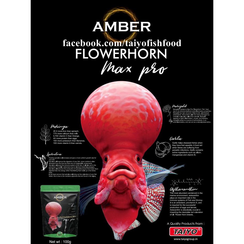 Thức ăn Amber cho cá la hán lên đầu – Gói Màu xanh