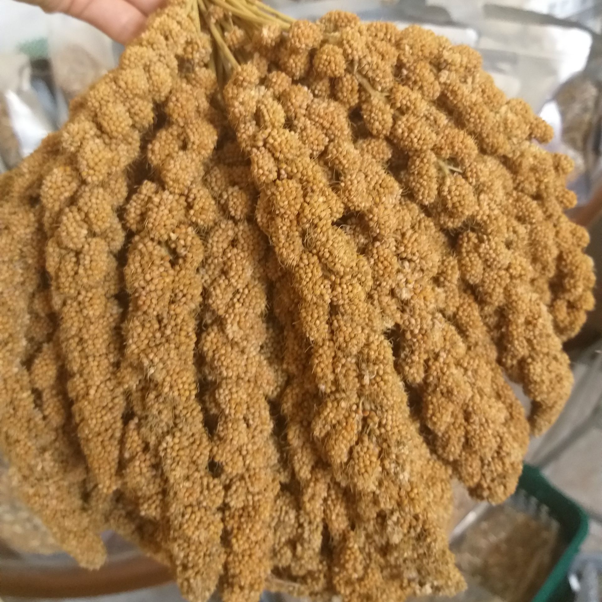 KÊ CHÙM (KÊ SỢI) gói 200g cho chim, sóc, chuột hamster....