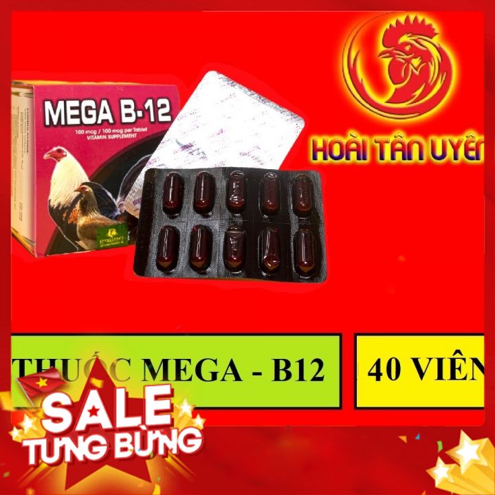[ BD ] [ HÃY NÓI VỀ CHẤT LƯỢNG ] COMBO 2 HỘP B12 - MEGA tăng nước máu, hừng gà, bo lớn cho gà đá