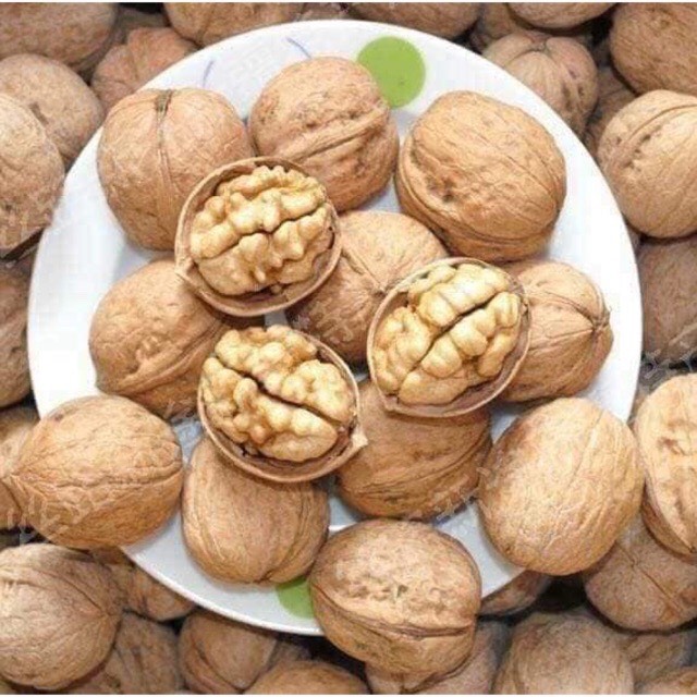 COMBO 1.5KG QUẢ ÓC CHÓ RỪNG ĐẶC SẢN SAPA VỎ MỎNG