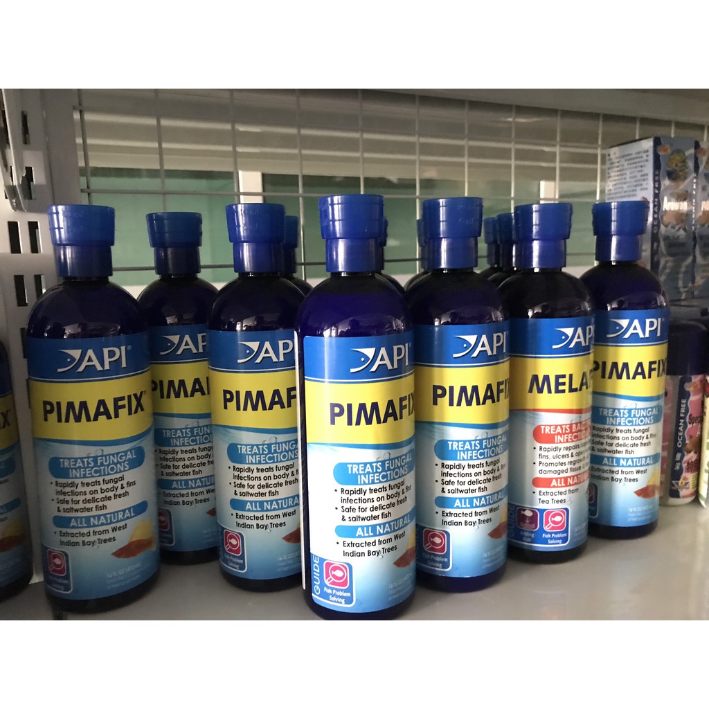 API PIMAFIX - Ngừa Nhiễm Nấm, Khuẩn Hại Ở Cá Cảnh 473ml