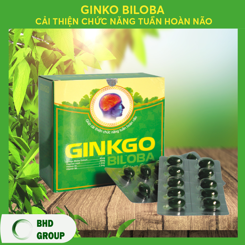 [HCM]GINKGO BILOBA - GIÚP BỔ NÃO TĂNG TRÍ NHỚ