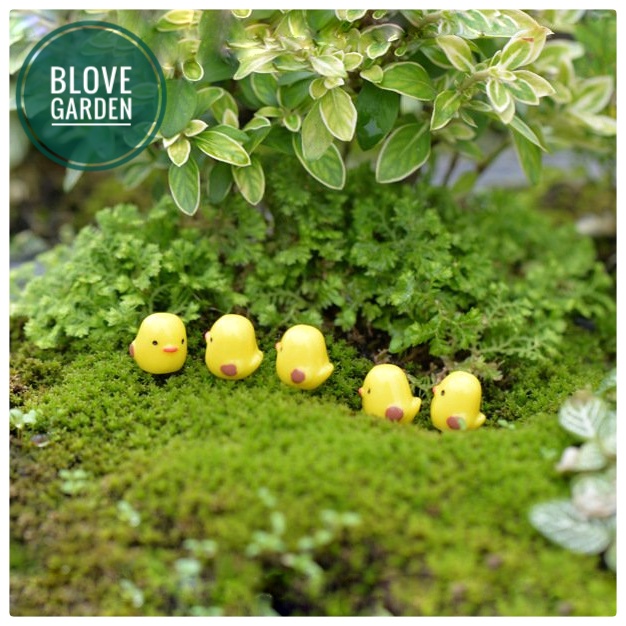 Tiểu cảnh trang trí - 1 con Gà con mini làm phụ kiện trang trí tiểu cảnh sen đá, xương rồng, chậu cây để bàn làm mô hình