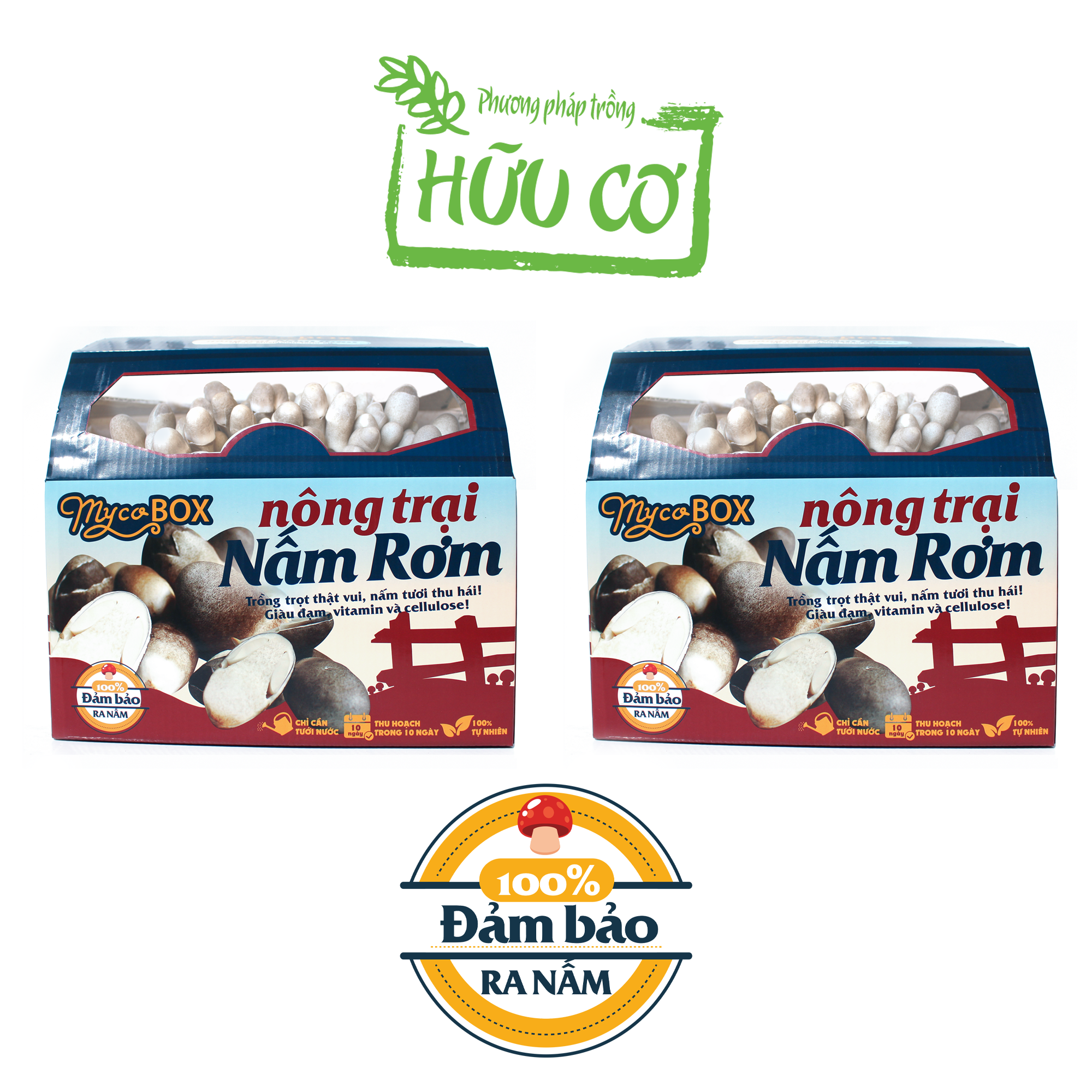 Mycobox - combo 2 nông trại nấm rơm