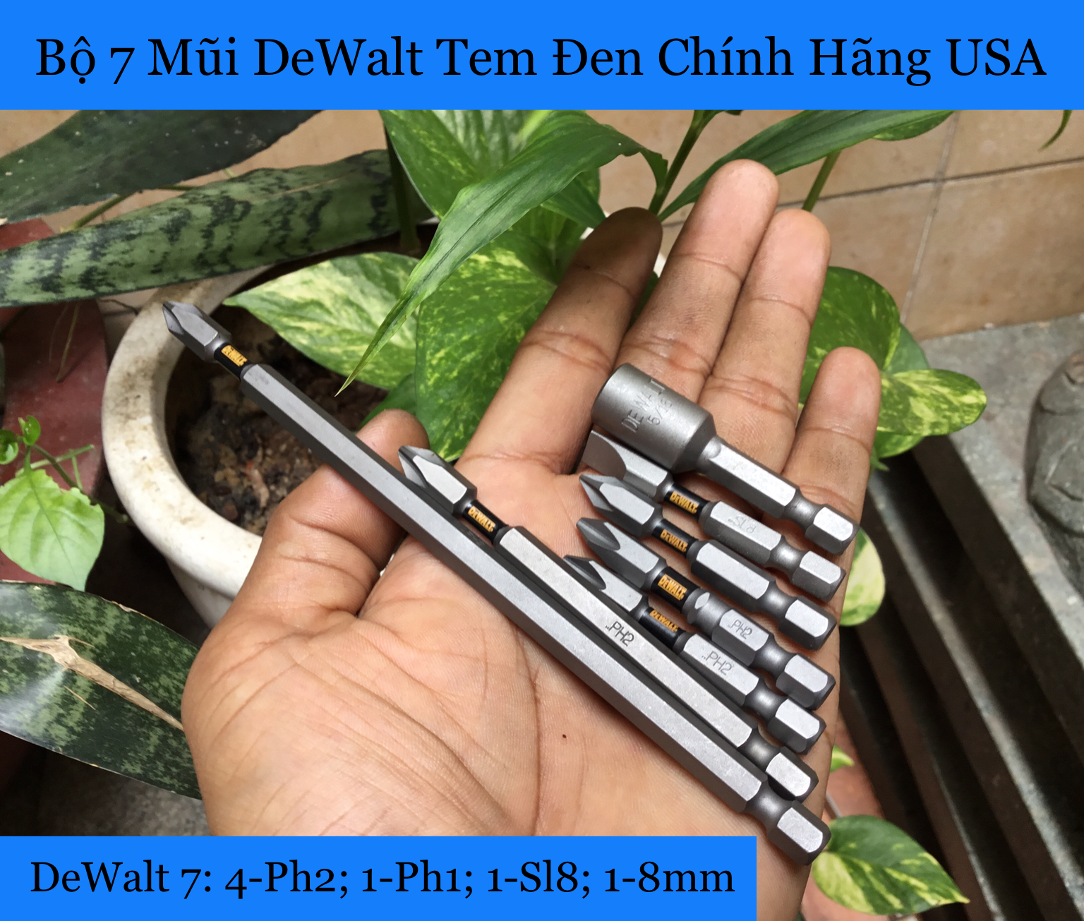 Bộ 7 mũi bắn vít dewalt tem đen chính hãng có từ