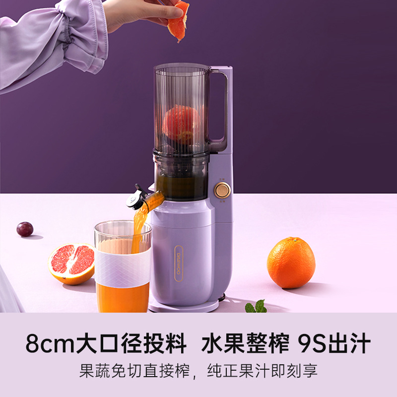 Máy ép chậm hoa quả trái cây deawoo chính hãng dy-bm03