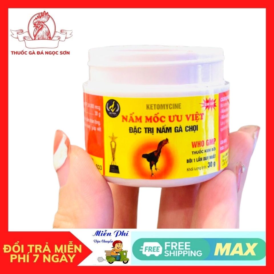 Bôi mốc, lác ưu việt cho gà chọi khỏi sau 2 lần sử dụng.Bôi mốc nặng cho gà đá