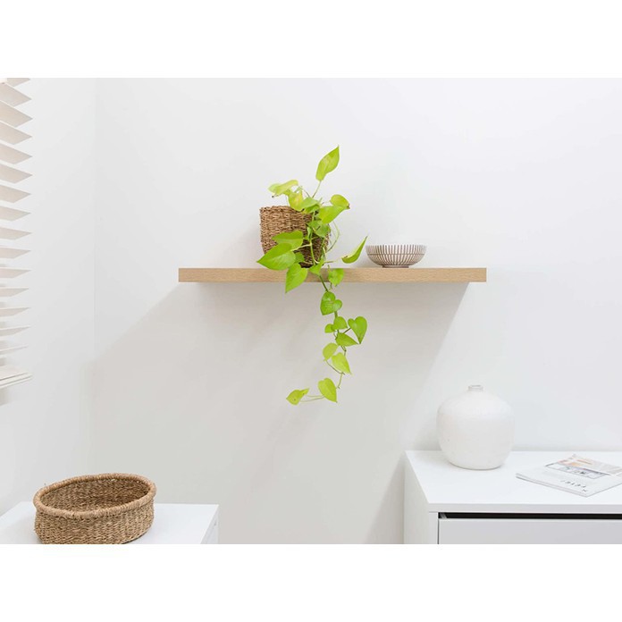 Kệ gỗ tự nhiên treo tường trang trí kích thước 120x20 cm x2cm