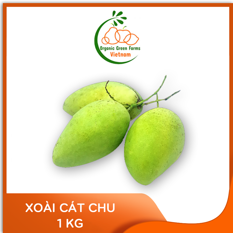 - xoài cát chu - giao nhanh hcm