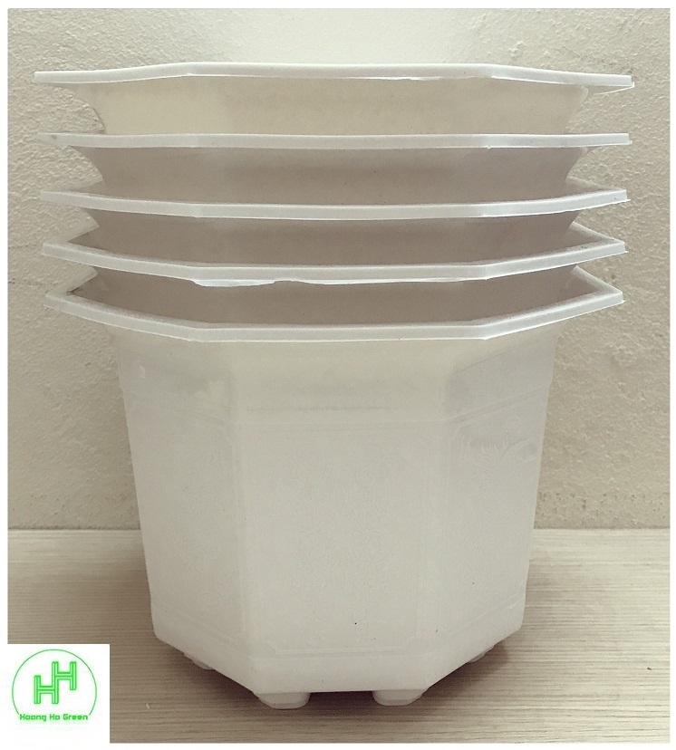 5 chậu nhựa bát giác 170x120 màu trắng