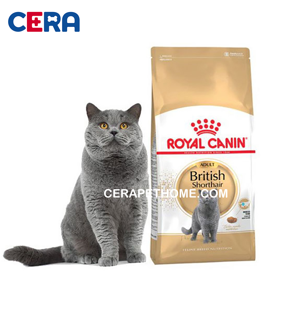 Thức ăn mèo royal canin mèo anh lông ngắn trưởng thành - british adult - 2 kg