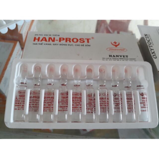 1 ống HAN-PROST 2 ml Tan thể vàng, gây động dục, cho đẻ sớm ở gia súc, dê, cừu, ngựa, lợn, chó , mèo